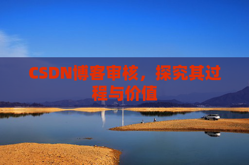 CSDN博客审核,探究其过程与价值